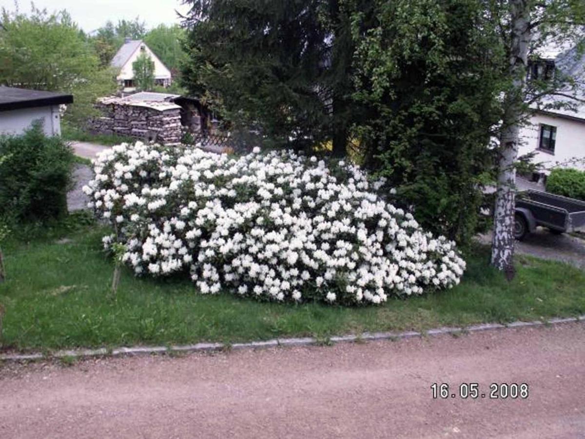 Ferienhaus Ferien Am Waldrand アルテンベルク エクステリア 写真